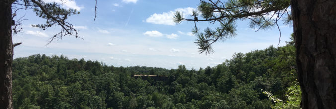 Natural Bridge State Park